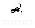 Thorus