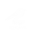 Pelican's